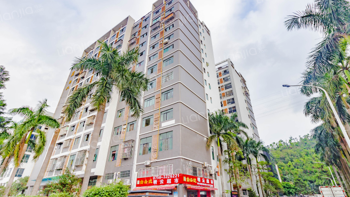 星晴公寓外景图