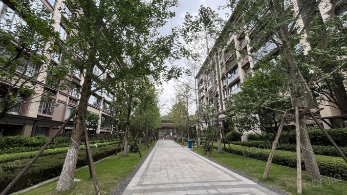 弘阳都江府外景图