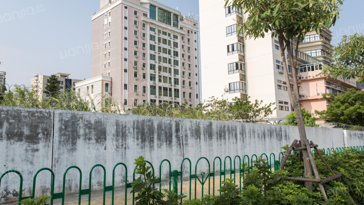 莲云社区外景图