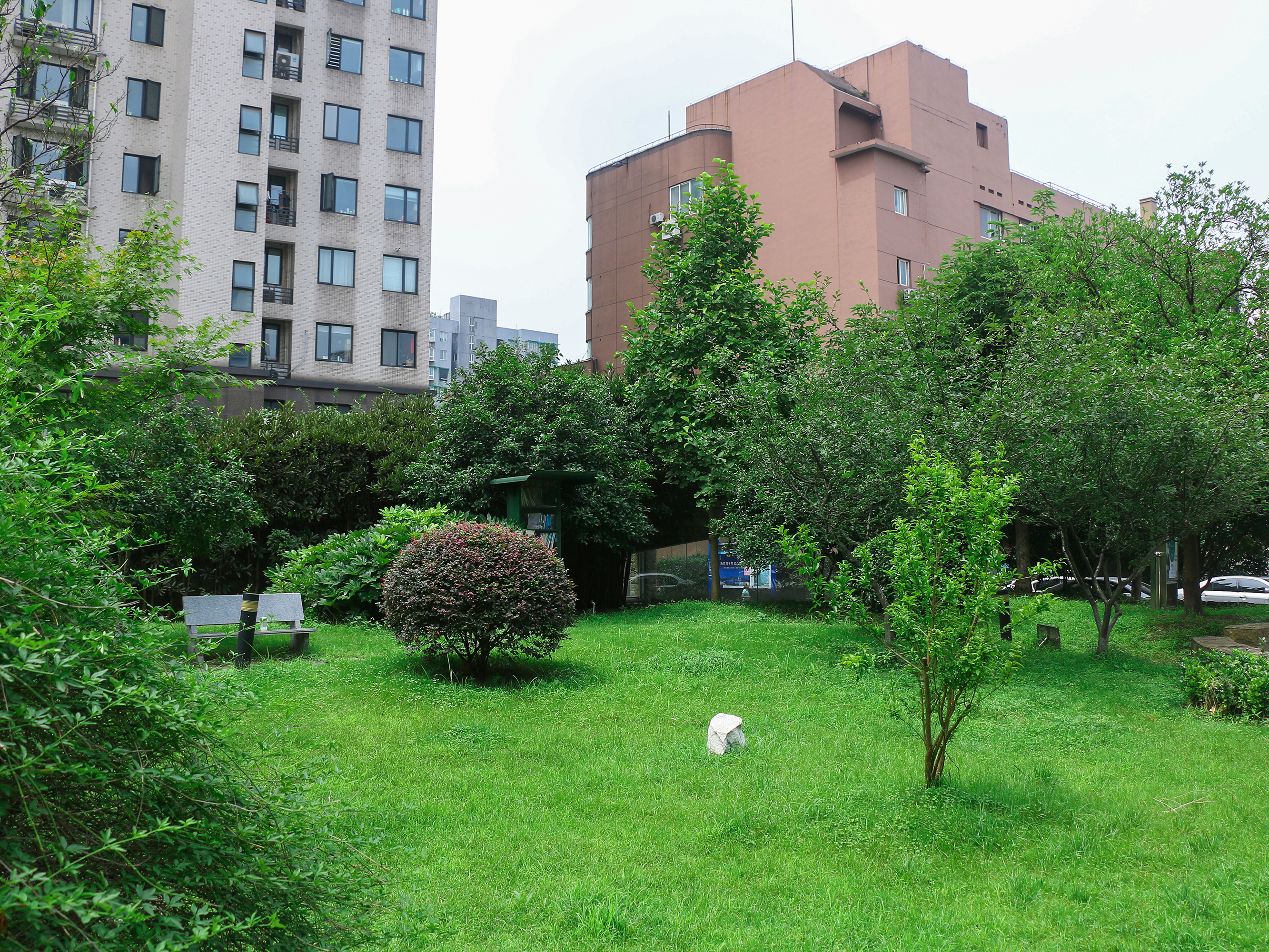 天成嘉苑小区实景 24