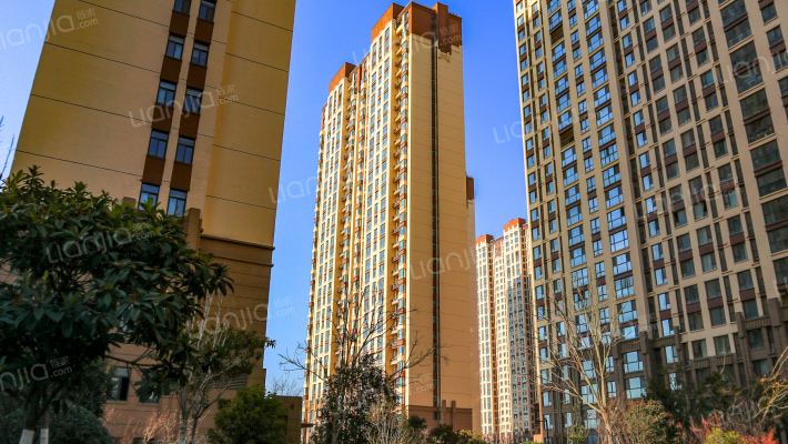 站马屯新苑A区外景图