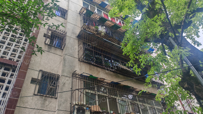 中街123号外景图