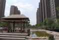 星河皓月户型图实景图