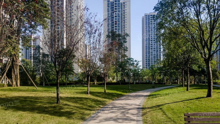 金凤苑A区外景图