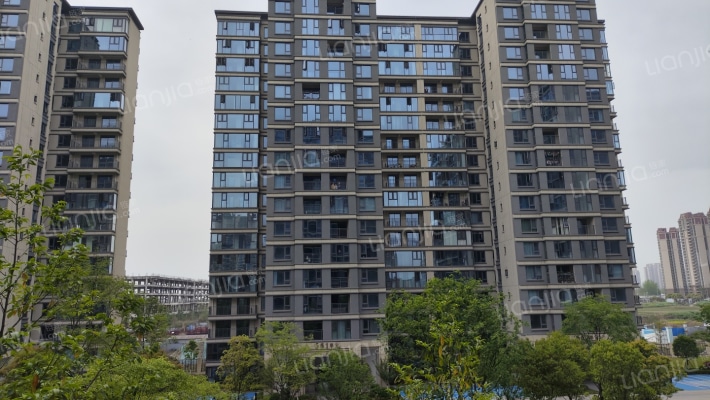 德商崇江天悦外景图