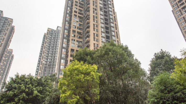 泽科港城国际外景图