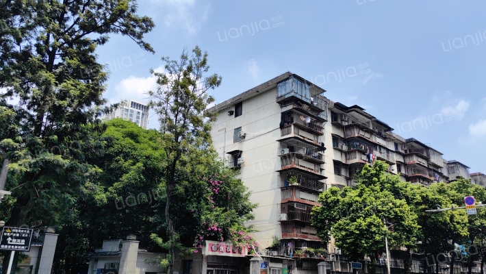 柳河路36号外景图