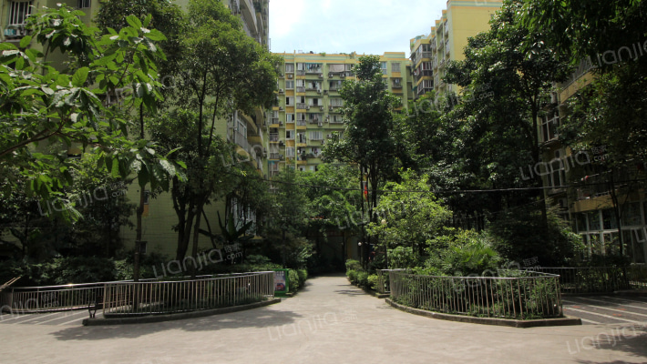 心巢小区外景图