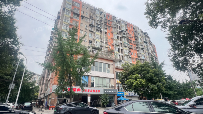 金色外滩外景图