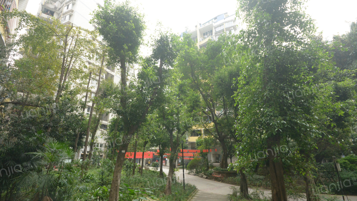 南滨印象外景图