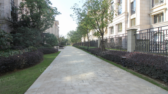 景枫法兰谷外景图