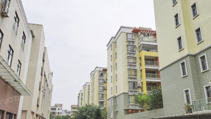 澳锦名苑外景图