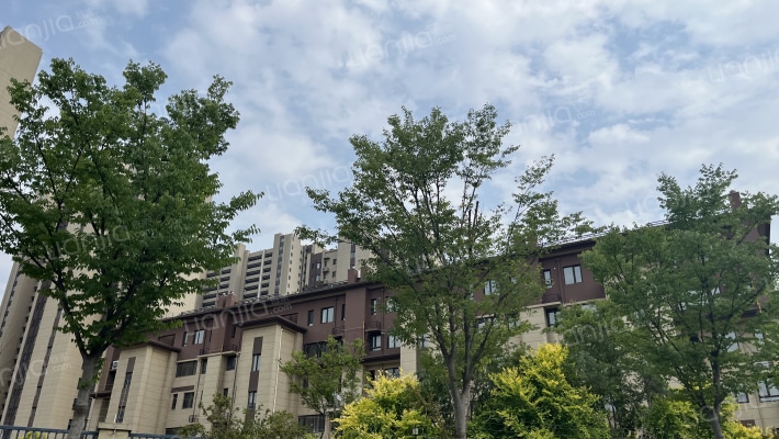 胶州碧桂园湖悦天境外景图