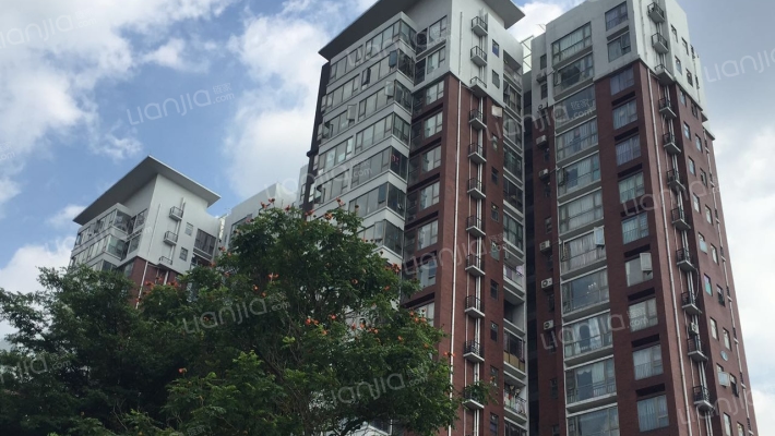 黄旗印象外景图