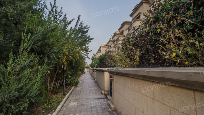 誉天下三期外景图