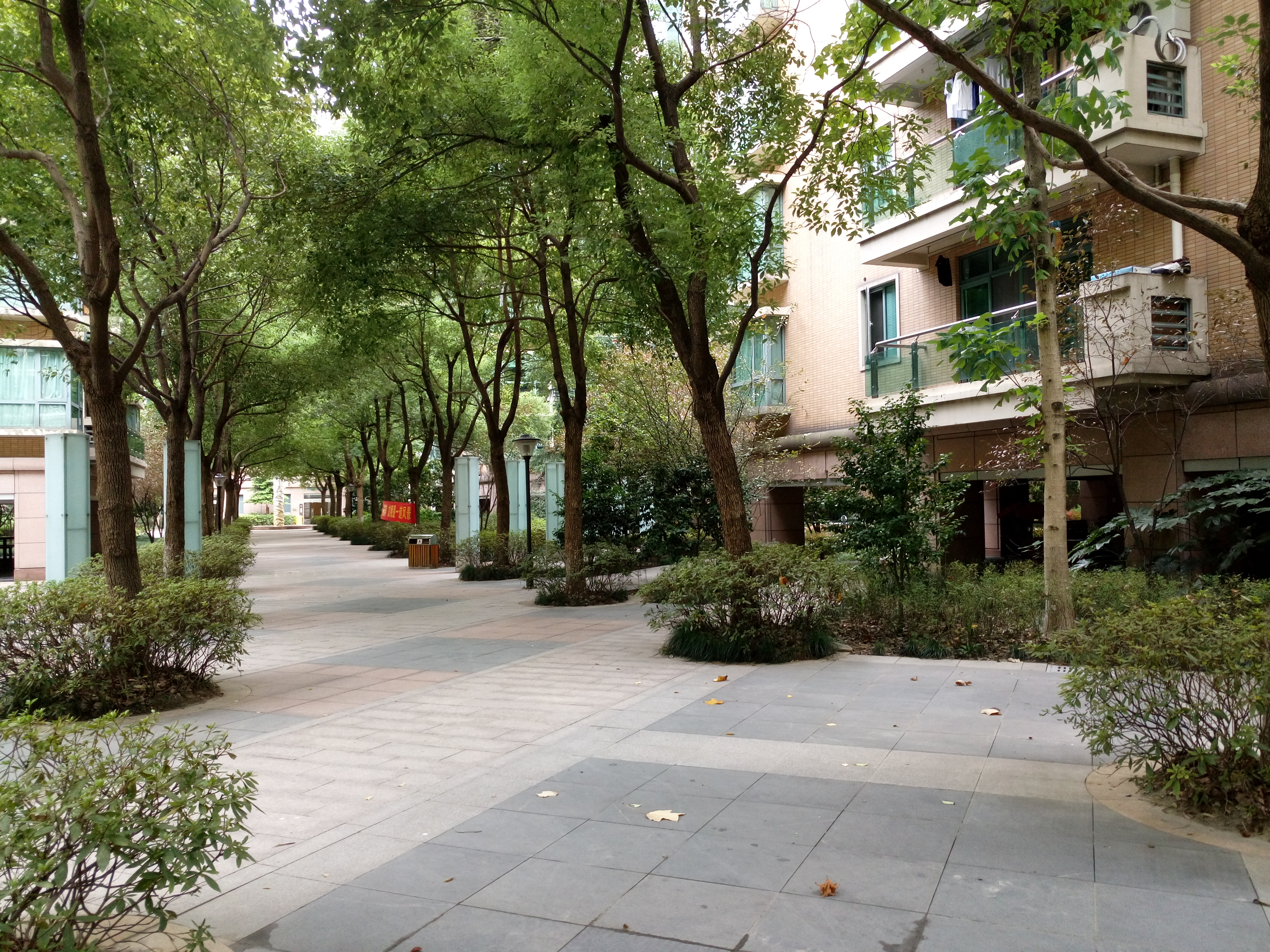 黄龙雅苑小区实景 10