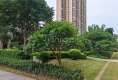 润立华庭户型图实景图