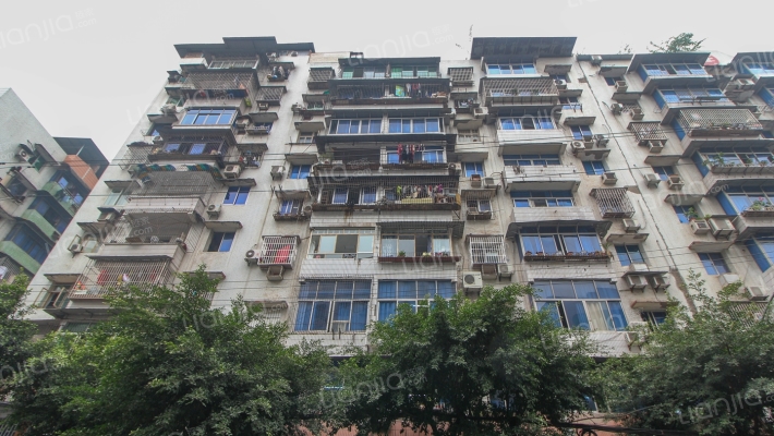 大江南区外景图