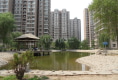 星河皓月户型图实景图