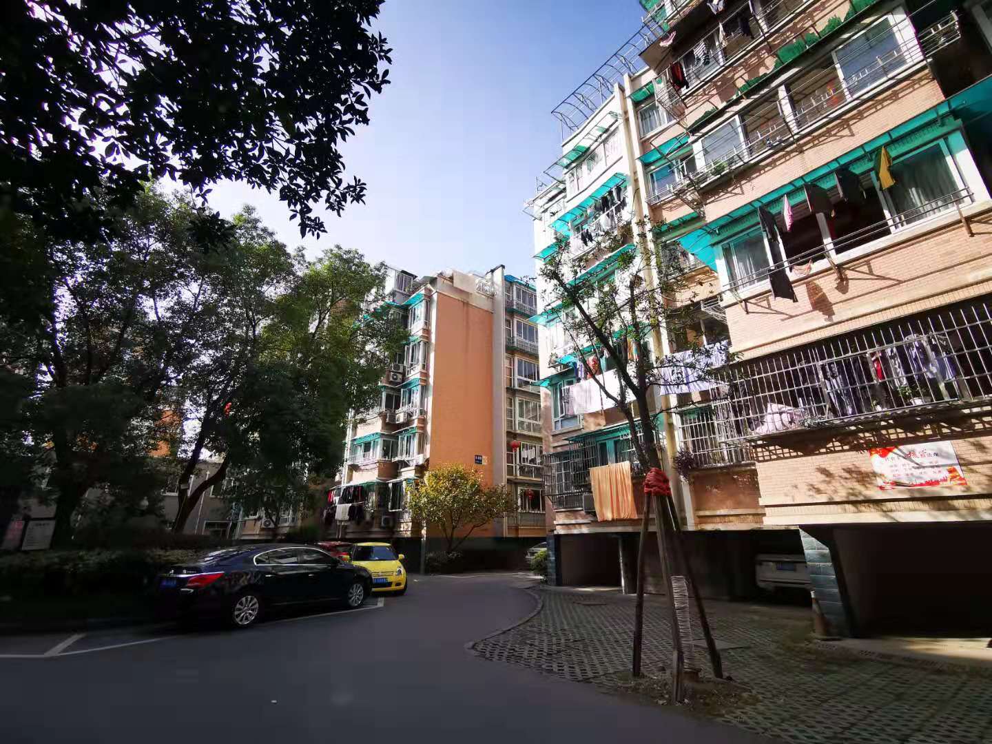金城花园小区实景 7