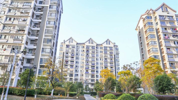 栈泾竹苑外景图