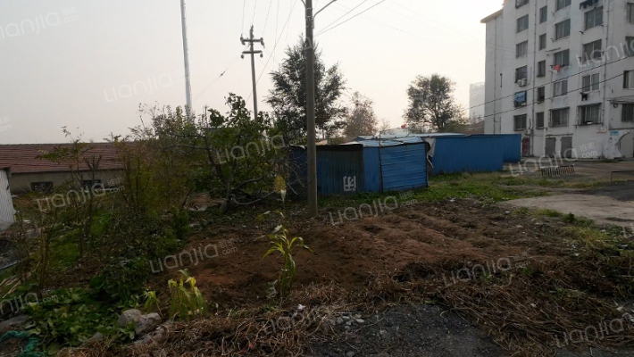 老棉纺厂家属楼外景图