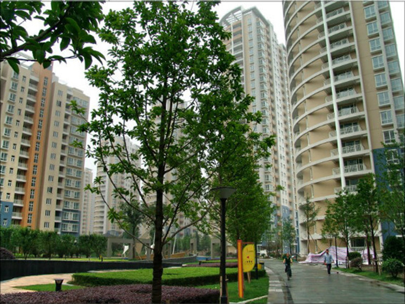 龙湖春江郦城小区实景 3