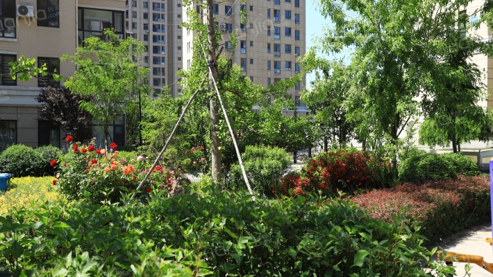 悦泰山里三期外景图