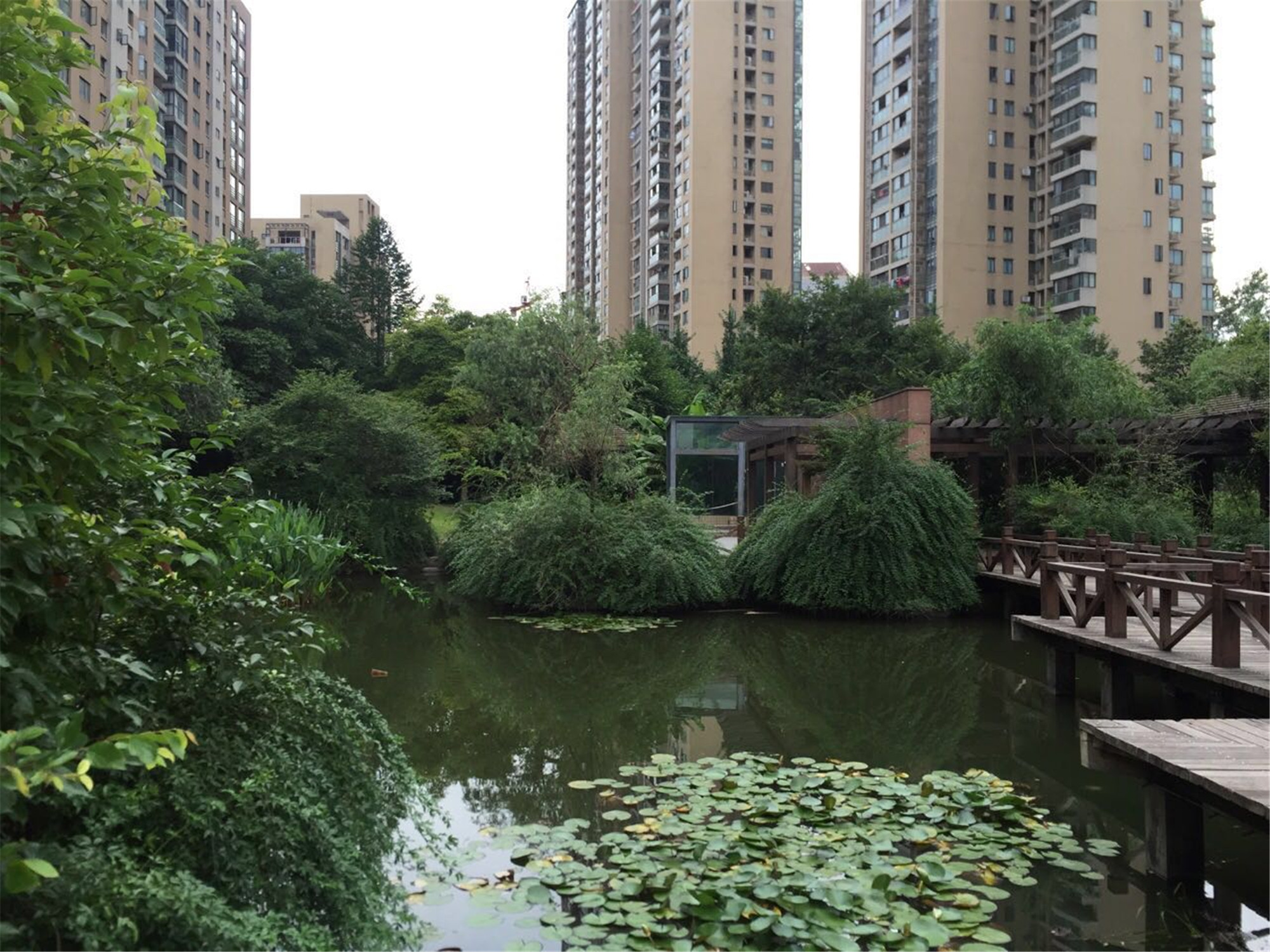  风雅钱塘小区实景 11