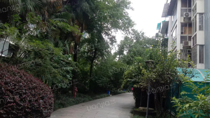 懋园西沿风景外景图