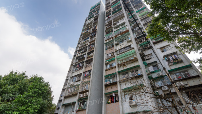 穗花新村外景图