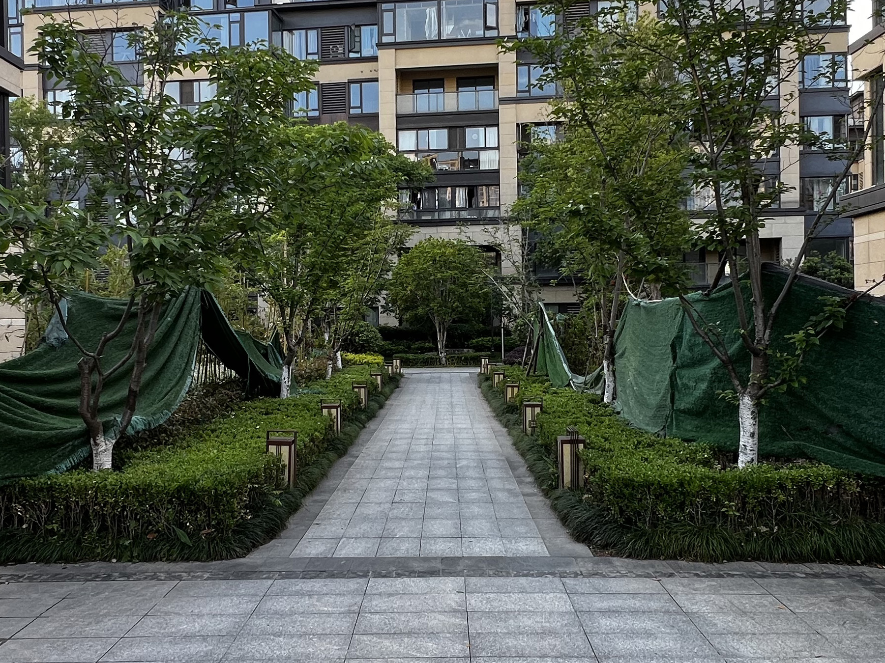 Xuecheng Fu compound photo 5