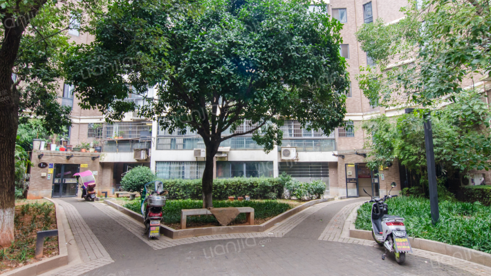 城市森林外景图