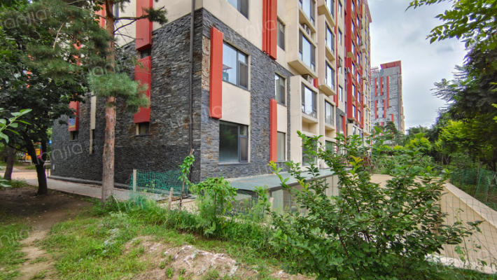 太阳世家云杉居外景图