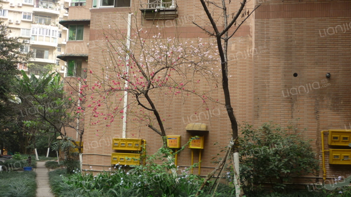 天鑫花园外景图