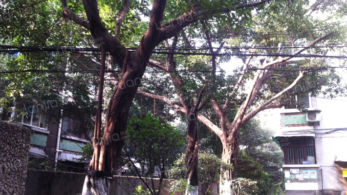 五九小区外景图