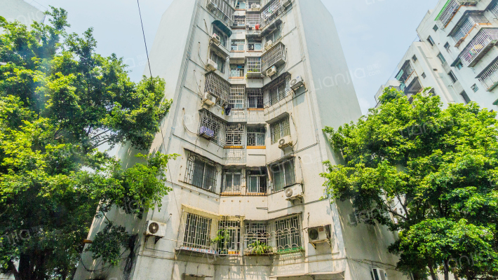 龙珠花园外景图