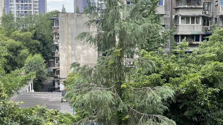 王家巷21号外景图