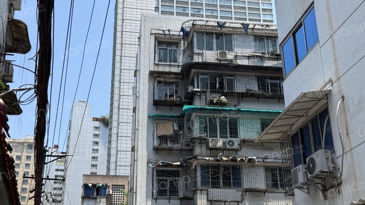 新街后巷子5号外景图