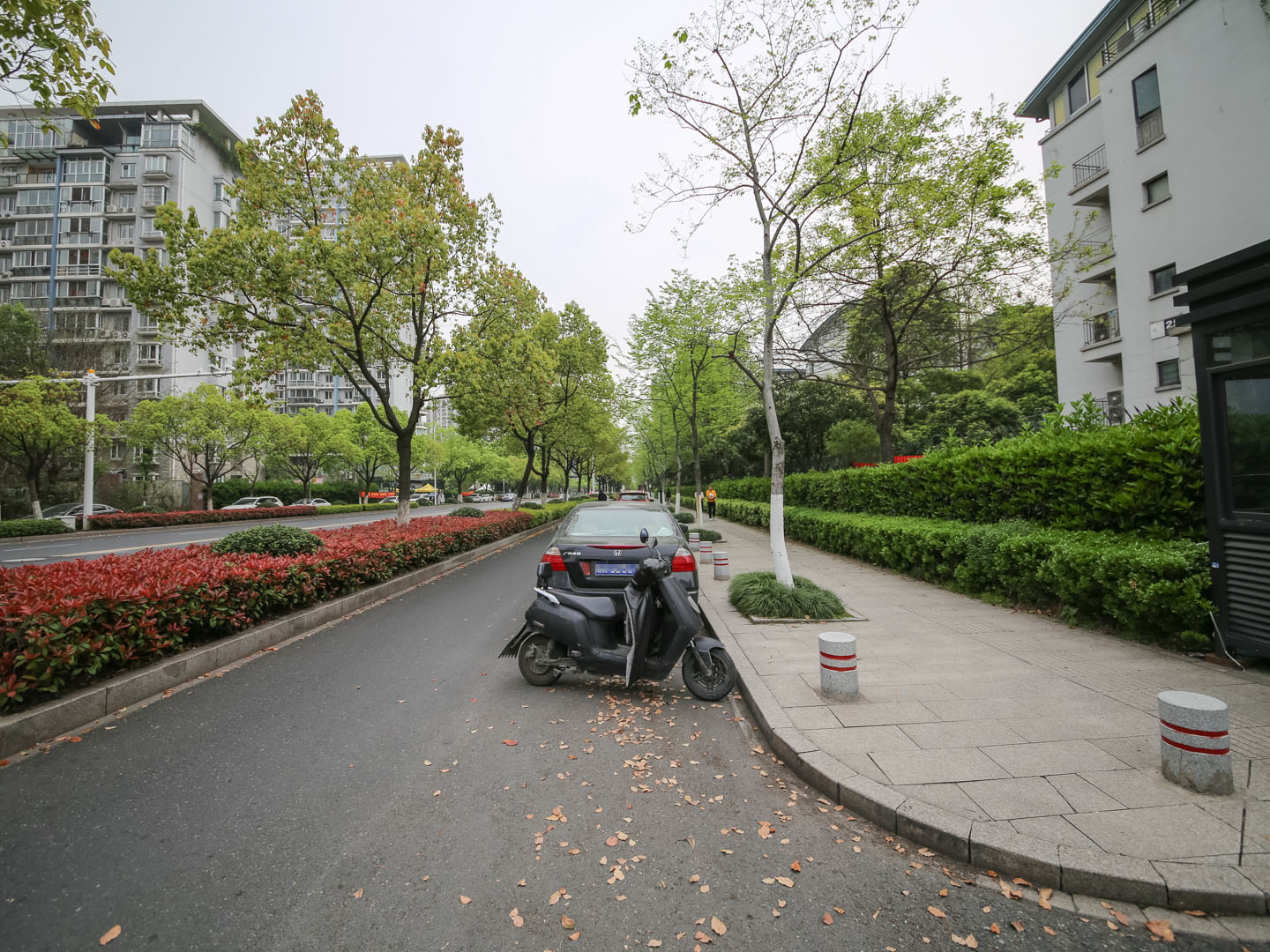 江滨花园小区实景 7