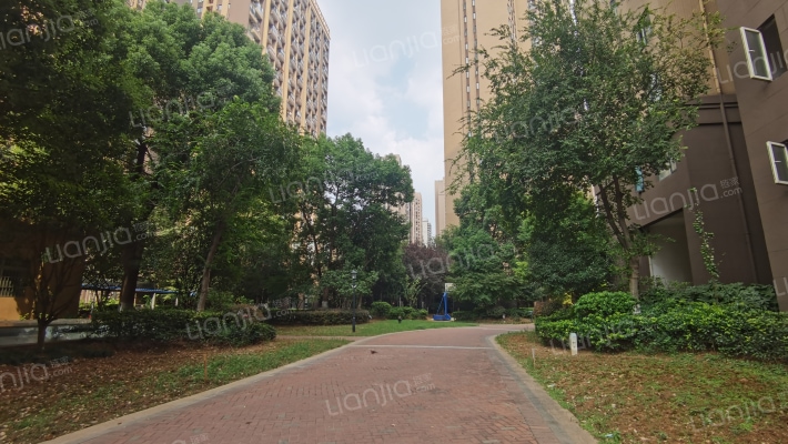 曙光星城C区外景图