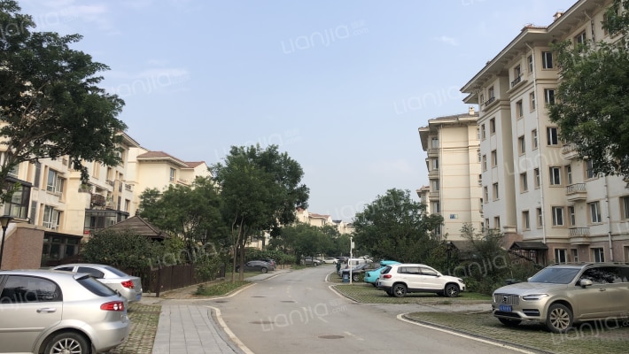 碧桂园桐林人家外景图