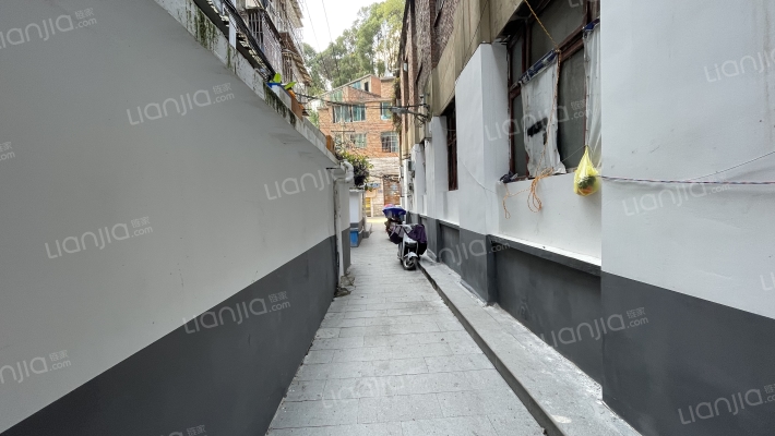 百花山路203号外景图