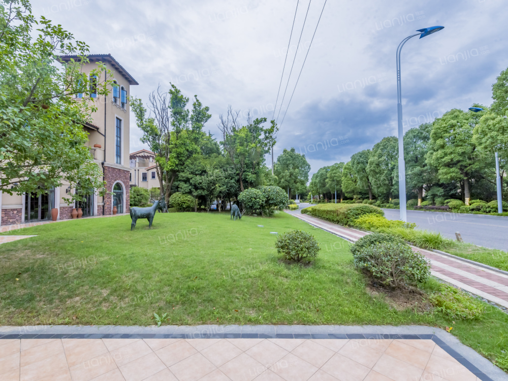 中海森林湖相册