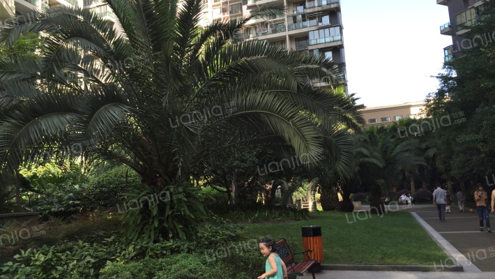 金沙西园四期外景图