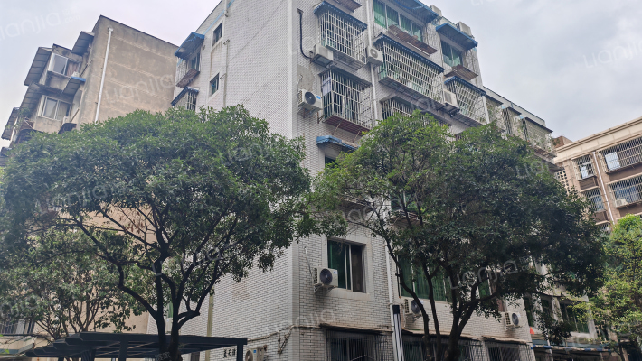 蓝天中苑外景图