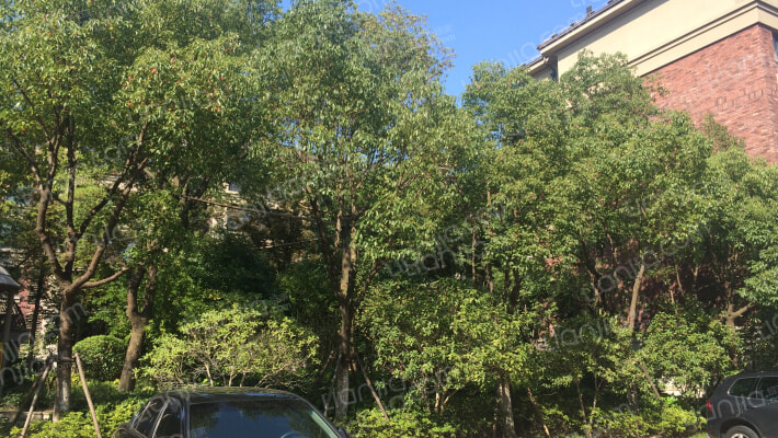 万科金色公馆外景图