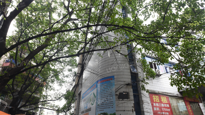 天生菜市街外景图