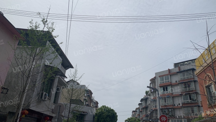 新康西路外景图