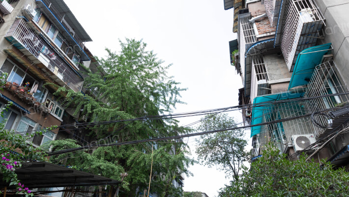 金罗路2号外景图